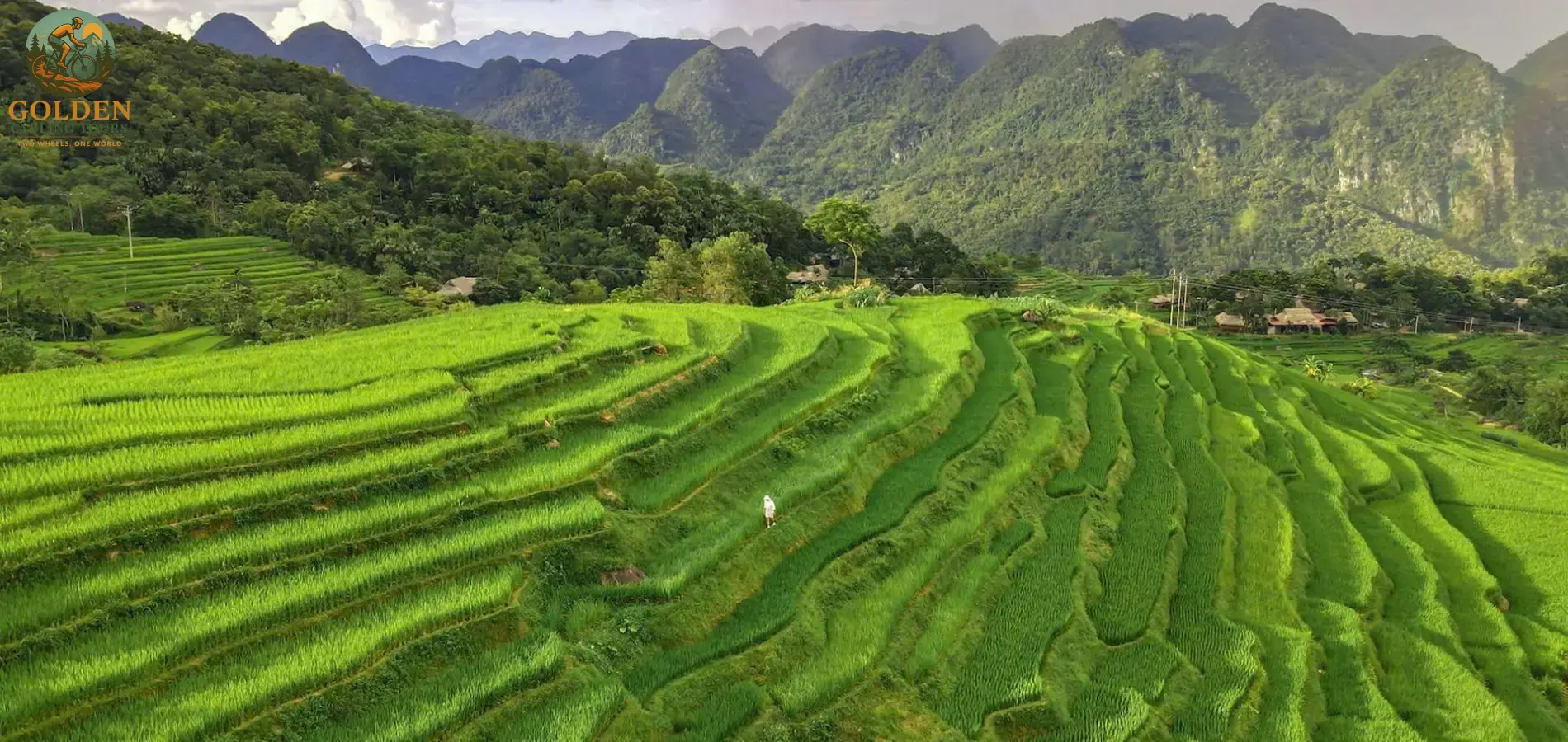 12-Day North Vietnam Cycling Adventure: Off the Beaten Path from Hanoi to Ninh Binh